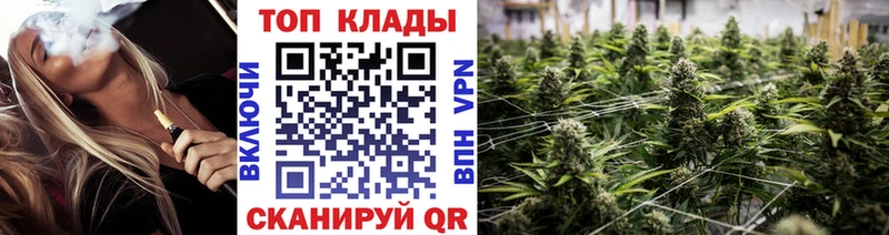Сколько стоит Кинель ТГК  Alpha PVP  ГАШИШ  Мефедрон  МАРИХУАНА  БУТИРАТ 
