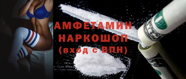 прущие грибы Няндома