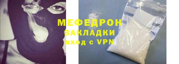прущие грибы Няндома