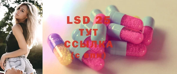 прущие грибы Няндома