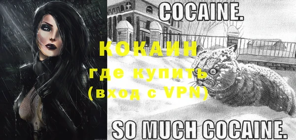 прущие грибы Няндома