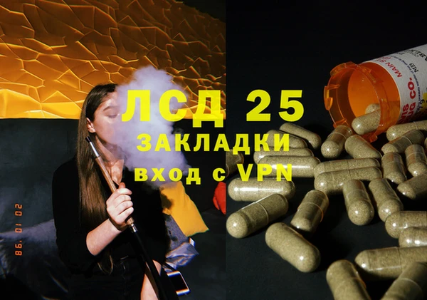 прущие грибы Няндома