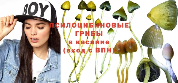 прущие грибы Няндома