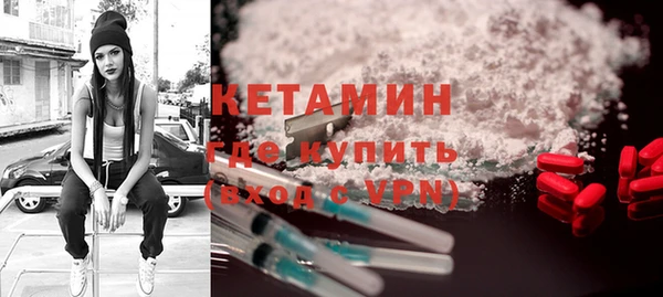 прущие грибы Няндома