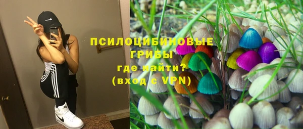 прущие грибы Няндома