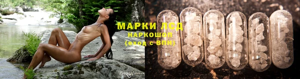 прущие грибы Няндома