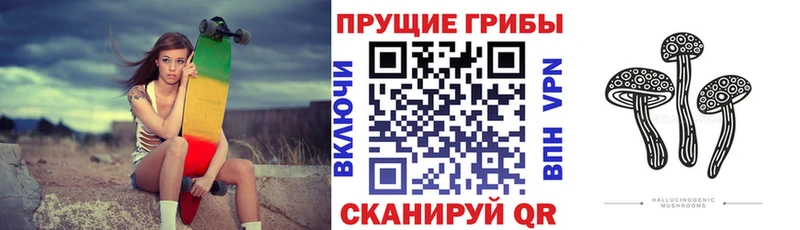 Галлюциногенные грибы Magic Shrooms  Кинель 
