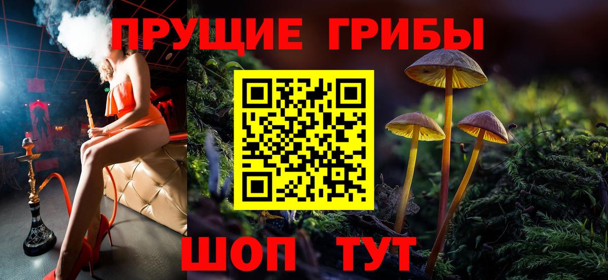 Галлюциногенные грибы Psilocybe Кинель