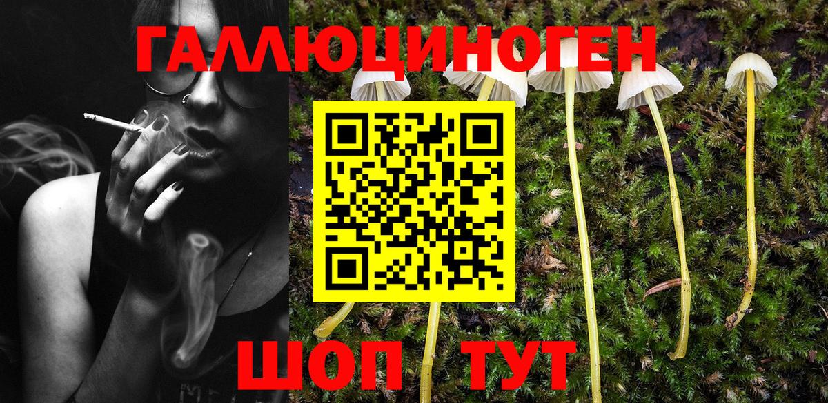 Кинель  Галлюциногенные грибы Magic Shrooms  Вход с VPN 