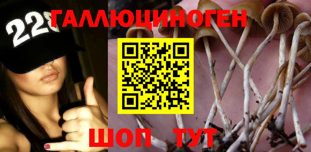 Галлюциногенные грибы Magic Shrooms  хочу   Кинель 