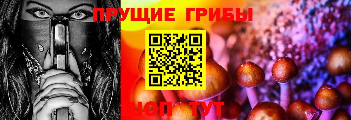 Псилоцибиновые грибы MAGIC MUSHROOMS Кинель