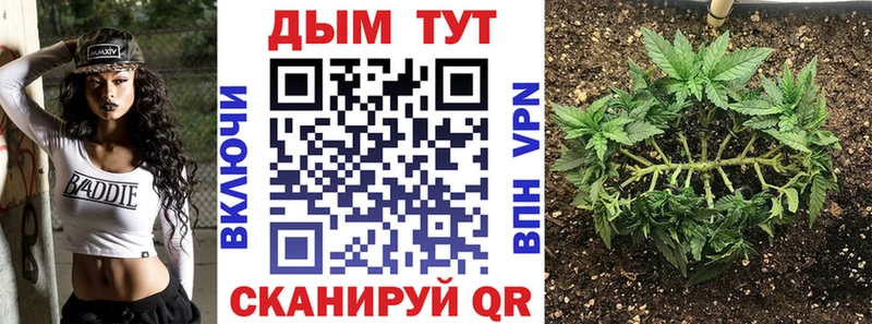 Каннабис планчик  маркетплейс какой сайт  Кинель 